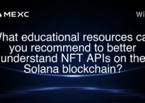 What educational resources can you recommend to better understand NFT APIs on the Solana blockchain?