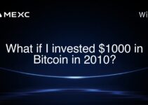 What if I invested $1000 in Bitcoin in 2010?