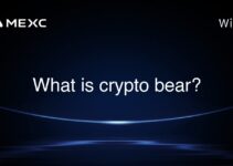 What is crypto bear?