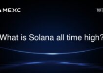 What is Solana all time high?