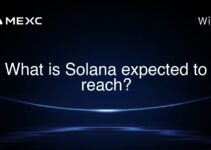 What is Solana expected to reach?