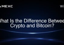 What Is the Difference Between Crypto and Bitcoin?