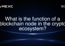 What is the function of a blockchain node in the crypto ecosystem?
