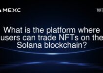 What is the platform where users can trade NFTs on the Solana blockchain?