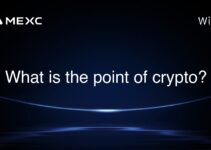 What is the point of crypto?