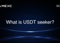 What is USDT seeker?