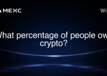 What percentage of people own crypto?