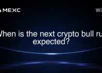 When is the next crypto bull run expected?