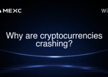 Why are cryptocurrencies crashing?