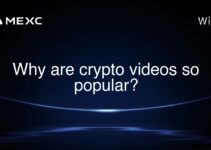 Why are crypto videos so popular?