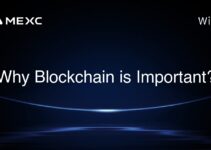 Why Blockchain is Important?