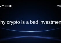 Why crypto is a bad investment?