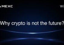 Why crypto is not the future?