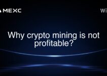 Why crypto mining is not profitable?