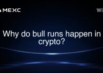 Why do bull runs happen in crypto?