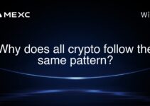 Why does all crypto follow the same pattern?