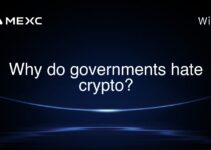 Why do governments hate crypto?