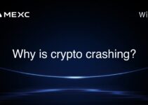Why is crypto crashing?