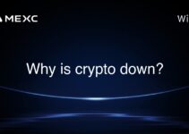 Why is crypto down?