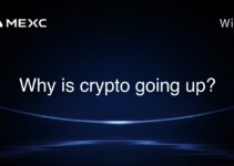 Why is crypto going up?