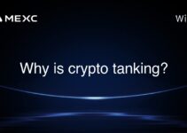 Why is crypto tanking?