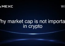 Why market cap is not important in crypto