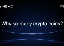 Why so many crypto coins?
