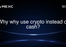 Why why use crypto instead of cash?