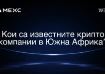 Кои са известните крипто компании в Южна Африка?