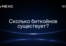 Сколько биткойнов существует?
