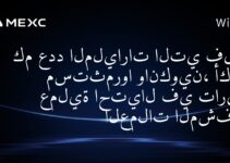 كم عدد المليارات التي فقدها مستثمروا وانكوين، أكبر عملية احتيال في تاريخ العملات المشفرة؟