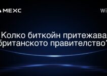 Колко биткойн притежава британското правителство?