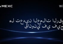 هل تعدين العملات الرقمية قانوني في فيجي؟