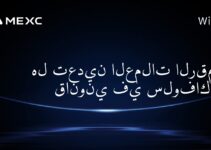 هل تعدين العملات الرقمية قانوني في سلوفاكيا؟