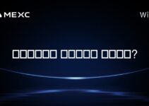 도미니카에서 암호화폐는 합법인가?