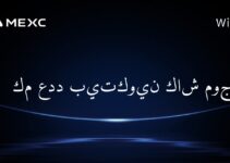 كم عدد بيتكوين كاش موجود؟
