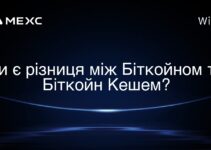 Чи є різниця між Біткойном та Біткойн Кешем?