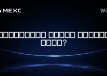 بنیان‌گذار صرافی پروبیت کیست?