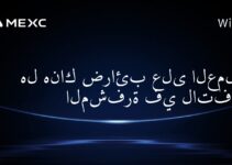 هل هناك ضرائب على العملات المشفرة في لاتفيا؟