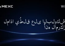 لماذا يُطلق على البلوكشين أنه لامركزي؟