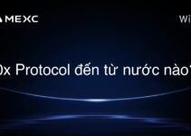 0x Protocol đến từ nước nào?
