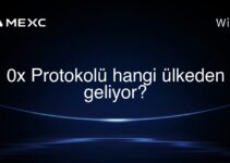0x Protokolü hangi ülkeden geliyor?