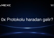 0x Protokolu haradan gəlir?