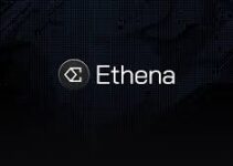 Cos’è il token ENA? Quali sono le ragioni dell’aumento del prezzo del token ENA? Come negoziare il token ENA su MEXC?