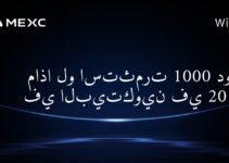 Что если бы я инвестировал 1000 долларов в Биткойн в 2010 году?