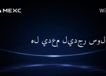 هل يدعم ليدجر سولانا؟