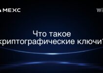 Что такое криптографические ключи?