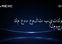 كم عدد عملات بيتكوين الموجودة؟