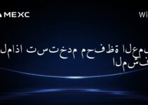 لماذا تستخدم محفظة العملات المشفرة؟