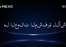 هل العملات المشفرة للأشرار؟